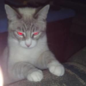 Meet your Posher, Jon